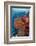 Fiji. Fish and coral reef.-Jaynes Gallery-Framed Photographic Print