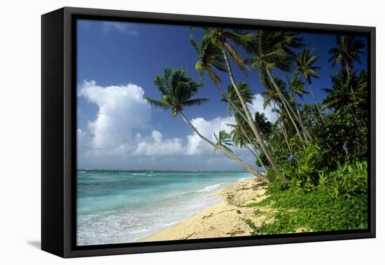 Fiji One of the Best Shelling Beaches in the World-null-Framed Premier Image Canvas