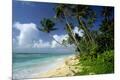 Premium Photographic Print