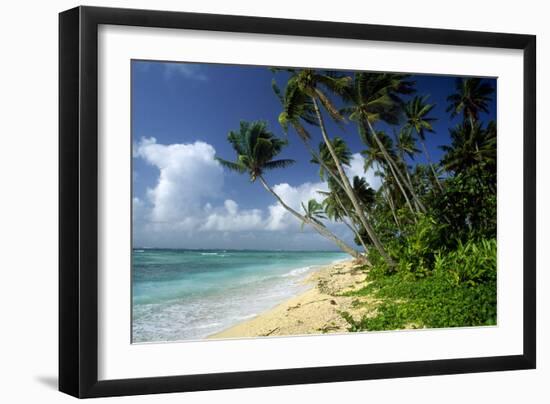 Fiji One of the Best Shelling Beaches in the World-null-Framed Photographic Print