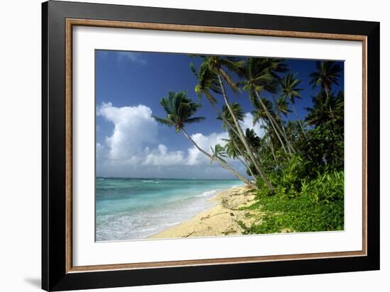 Fiji One of the Best Shelling Beaches in the World-null-Framed Photographic Print