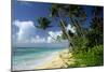 Fiji One of the Best Shelling Beaches in the World-null-Mounted Photographic Print