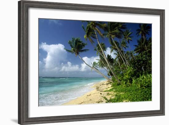 Fiji One of the Best Shelling Beaches in the World-null-Framed Photographic Print