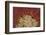 Fiji. Sea fan and soft corals.-Jaynes Gallery-Framed Photographic Print