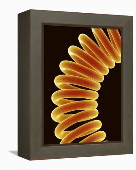 Filament of light bulb-Micro Discovery-Framed Premier Image Canvas