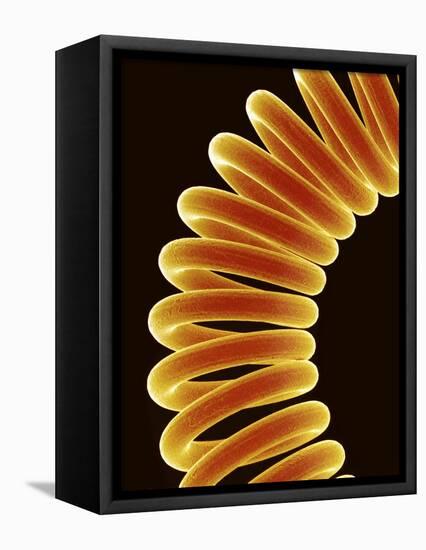 Filament of light bulb-Micro Discovery-Framed Premier Image Canvas