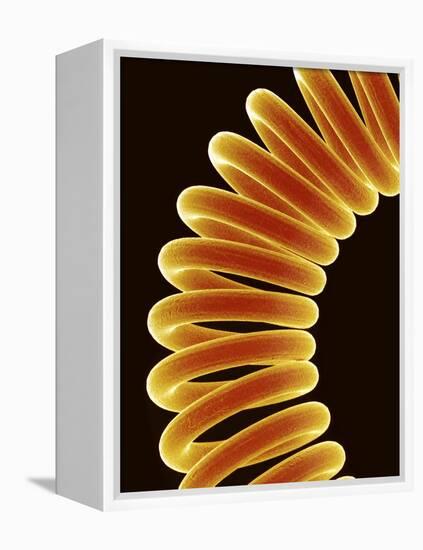 Filament of light bulb-Micro Discovery-Framed Premier Image Canvas
