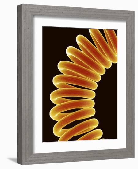 Filament of light bulb-Micro Discovery-Framed Photographic Print