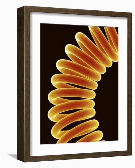 Filament of light bulb-Micro Discovery-Framed Photographic Print