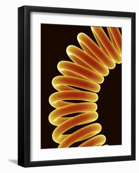 Filament of light bulb-Micro Discovery-Framed Photographic Print