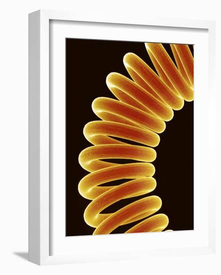 Filament of light bulb-Micro Discovery-Framed Photographic Print