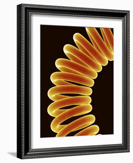 Filament of light bulb-Micro Discovery-Framed Photographic Print