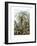 Filicinae, 1899-1904-null-Framed Giclee Print