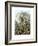 Filicinae, 1899-1904-null-Framed Giclee Print