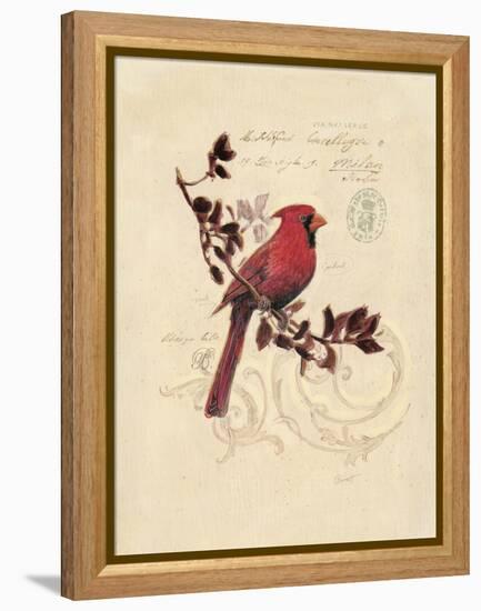 Filigree Cardinal-Chad Barrett-Framed Stretched Canvas