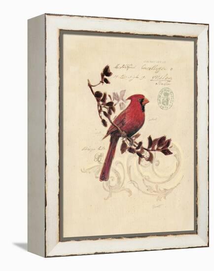 Filigree Cardinal-Chad Barrett-Framed Stretched Canvas