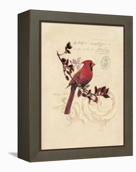 Filigree Cardinal-Chad Barrett-Framed Stretched Canvas