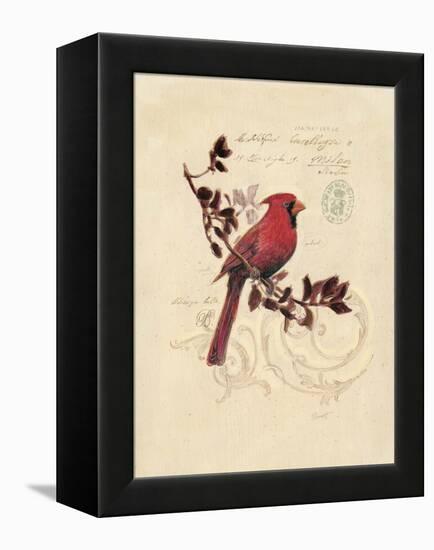 Filigree Cardinal-Chad Barrett-Framed Stretched Canvas