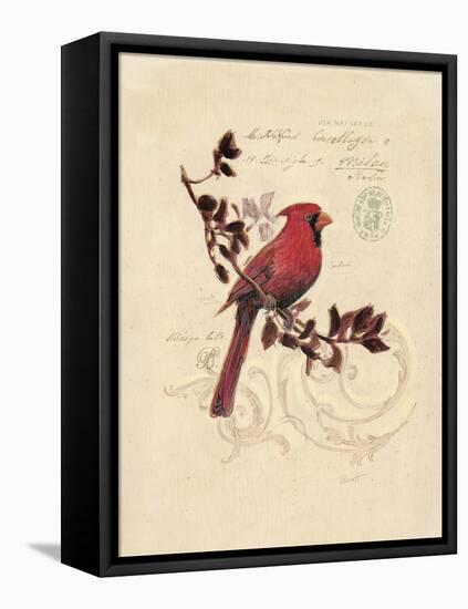 Filigree Cardinal-Chad Barrett-Framed Stretched Canvas