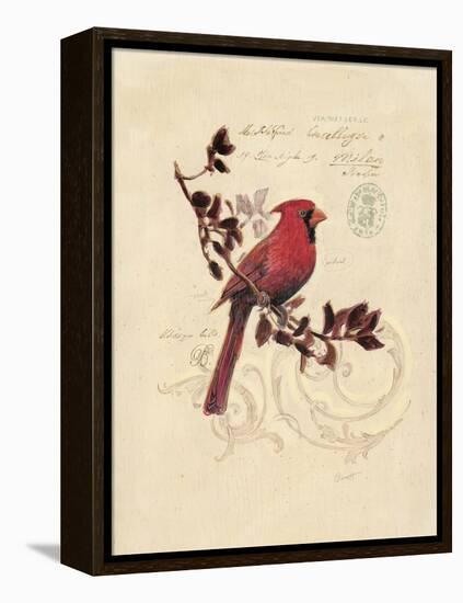 Filigree Cardinal-Chad Barrett-Framed Stretched Canvas