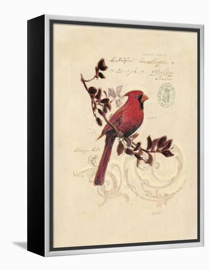 Filigree Cardinal-Chad Barrett-Framed Stretched Canvas