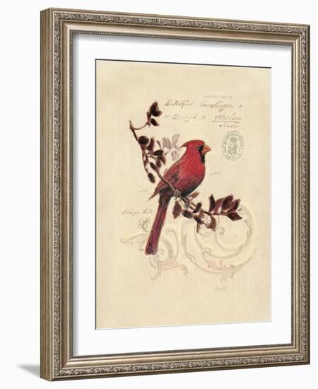 Filigree Cardinal-Chad Barrett-Framed Art Print