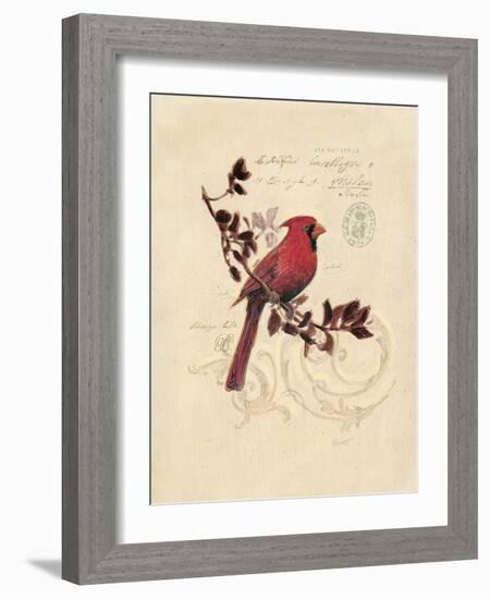 Filigree Cardinal-Chad Barrett-Framed Art Print