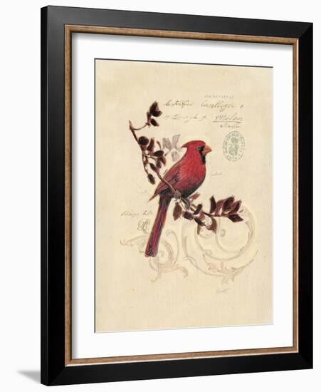 Filigree Cardinal-Chad Barrett-Framed Art Print