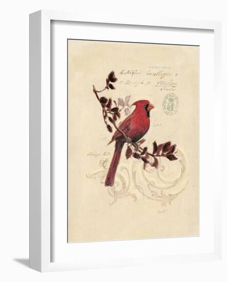 Filigree Cardinal-Chad Barrett-Framed Art Print