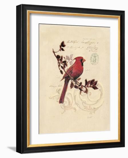 Filigree Cardinal-Chad Barrett-Framed Art Print