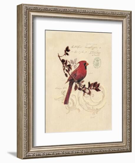 Filigree Cardinal-Chad Barrett-Framed Art Print