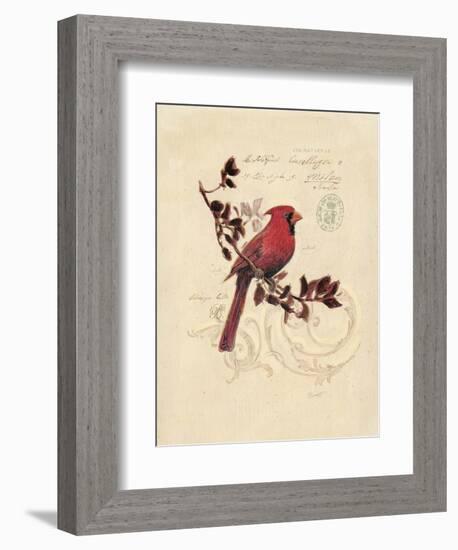 Filigree Cardinal-Chad Barrett-Framed Art Print