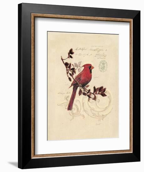 Filigree Cardinal-Chad Barrett-Framed Art Print