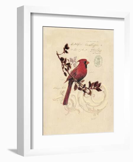 Filigree Cardinal-Chad Barrett-Framed Art Print