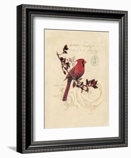 Filigree Cardinal-Chad Barrett-Framed Art Print