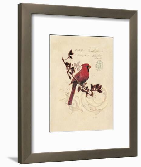 Filigree Cardinal-Chad Barrett-Framed Premium Giclee Print
