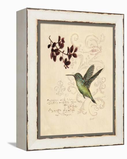 Filigree Hummingbird-Chad Barrett-Framed Stretched Canvas