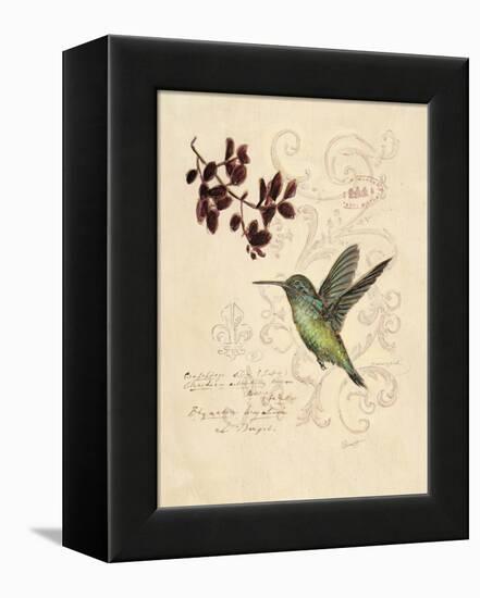 Filigree Hummingbird-Chad Barrett-Framed Stretched Canvas