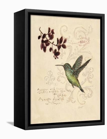 Filigree Hummingbird-Chad Barrett-Framed Stretched Canvas