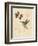 Filigree Hummingbird-Chad Barrett-Framed Art Print