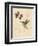 Filigree Hummingbird-Chad Barrett-Framed Art Print