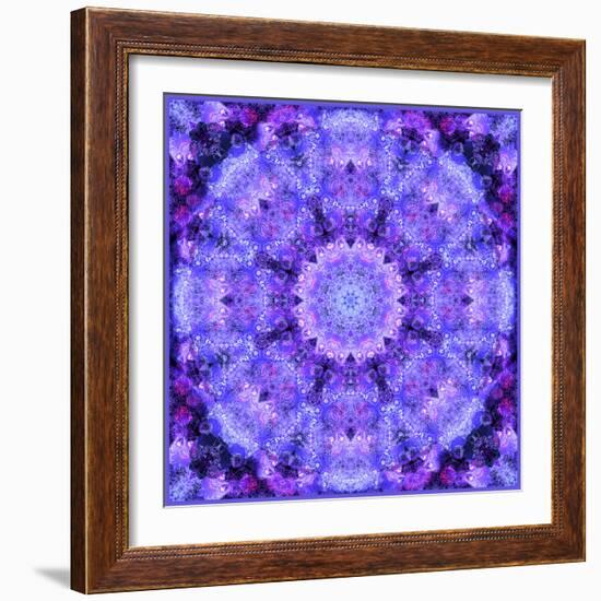 Filigree Mandala Ornament from Flower Photographs, Multiple Layer Work-Alaya Gadeh-Framed Photographic Print