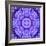 Filigree Mandala Ornament from Flower Photographs, Multiple Layer Work-Alaya Gadeh-Framed Photographic Print