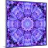 Filigree Mandala Ornament from Flower Photographs, Multiple Layer Work-Alaya Gadeh-Mounted Photographic Print