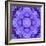 Filigree Mandala Ornament from Flower Photographs, Multiple Layer Work-Alaya Gadeh-Framed Photographic Print