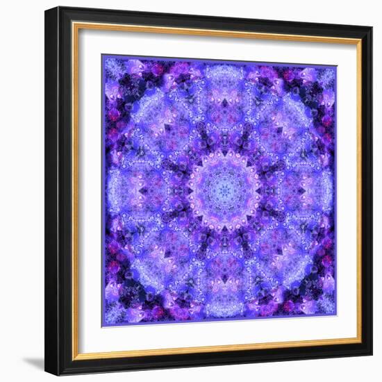 Filigree Mandala Ornament from Flower Photographs, Multiple Layer Work-Alaya Gadeh-Framed Photographic Print