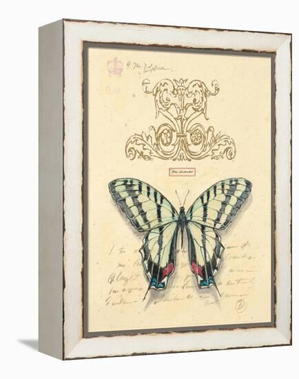 Filigree Papillon-Chad Barrett-Framed Stretched Canvas