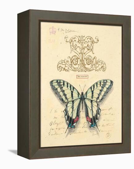 Filigree Papillon-Chad Barrett-Framed Stretched Canvas