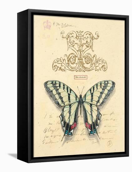 Filigree Papillon-Chad Barrett-Framed Stretched Canvas