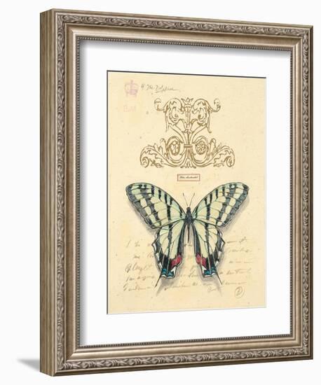 Filigree Papillon-Chad Barrett-Framed Art Print